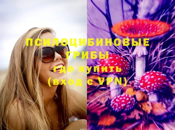 первитин Бородино